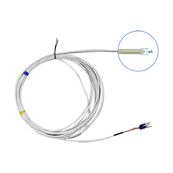 Chemical-Resistant Pt100 Temperature Sensor